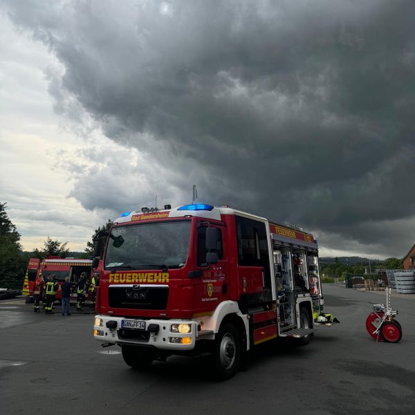 3ac55ed4-29ba-438c-916d-077664c71df6