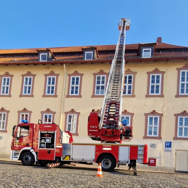 785a3aad-8a0b-46de-8f85-883d8e651ed9