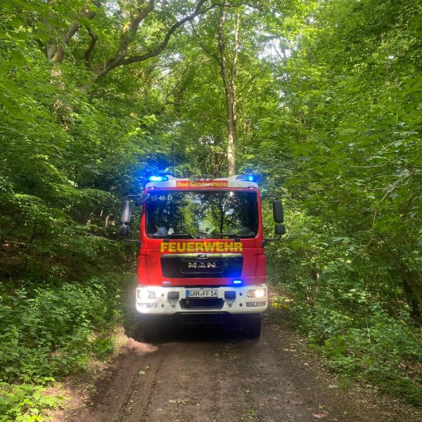 a973904c-d67b-4446-a669-2ef1285f00ae